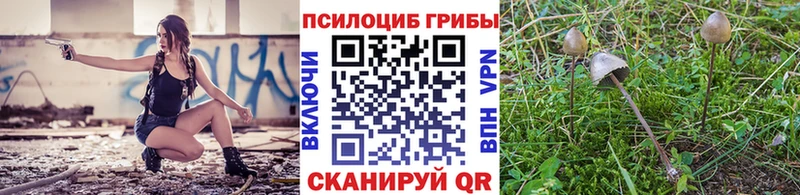 Псилоцибиновые грибы ЛСД  Купить  Серафимович 
